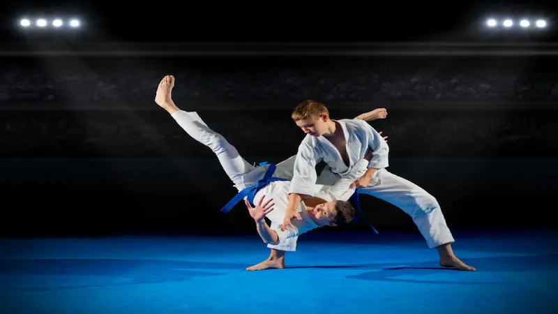 What is Martial Arts Betting?